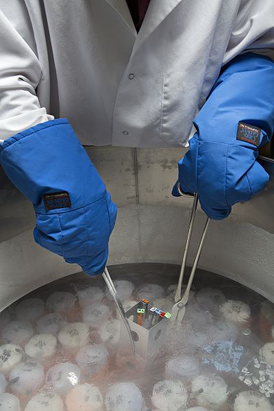 cryopreservation
